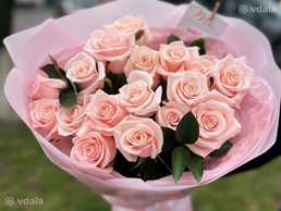 Сорт Кимберли - VDALA.PRO