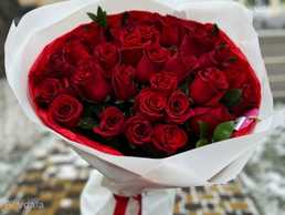 Красные розы - VDALA.PRO