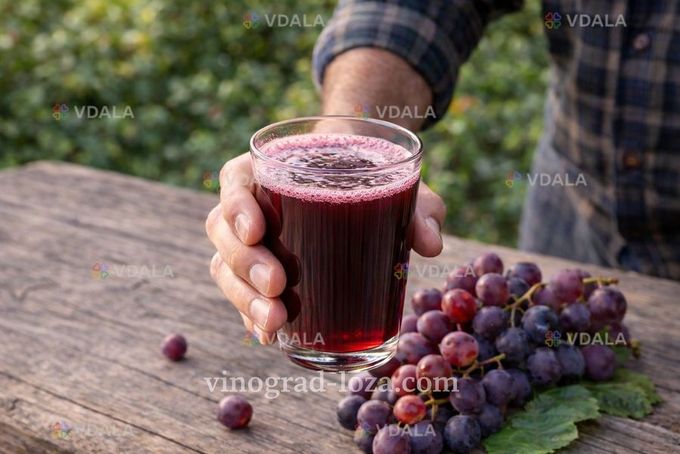 Свіжий виноградний сік з власного виноградника - VDALA.PRO