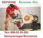 Удостоверение вальщика леса. - VDALA.PRO - 1