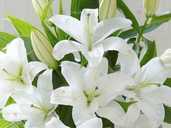 работа дома работа дома - VDALA.PRO - 1