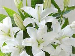 работа дома - VDALA.PRO