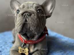 Бигроп вельвет голубой мальчик - VDALA.PRO