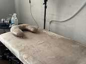 Чехол на кушетку та подушка - VDALA.PRO - 1