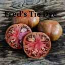 Насіння найкращіх сортів томатів-гномів - VDALA.PRO - 2