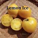 Насіння найкращіх сортів томатів-гномів - VDALA.PRO - 3