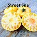 Насіння найкращіх сортів томатів-гномів - VDALA.PRO - 4