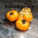 Насіння найкращіх сортів томатів-гномів - VDALA.PRO - 7