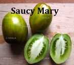 Насіння найкращіх сортів томатів-гномів - VDALA.PRO - 8