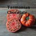 Насіння найкращіх сортів томатів-гномів - VDALA.PRO - 9