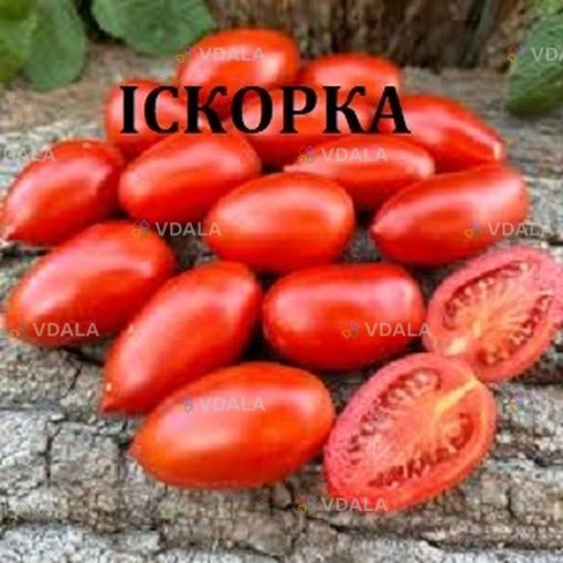 Насііння ультраранніх сортів томатів - VDALA.PRO