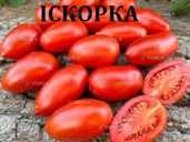 Насііння ультраранніх сортів томатів - VDALA.PRO - 1