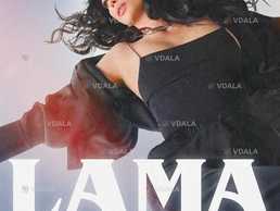 Lama - VDALA.PRO
