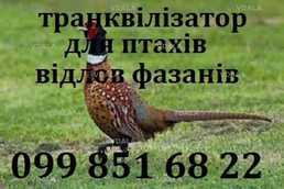 Транквілізатор для птахів(відлов фазанів) - VDALA.PRO