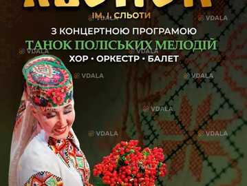 Поліський академічний ансамбль пісні і танцю «Льонок» - VDALA.PRO