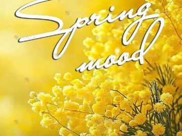 Концерт «Подих весни» - VDALA.PRO