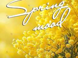 Концерт «Подих весни» - VDALA.PRO