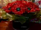 Червоні маки - 1 Червоні маки - VDALA.PRO - 1