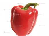 Перець Анастасія (Фасовка: 0,3 г) - VDALA.PRO - 1