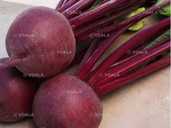 Буряк столовий Кардіал F1 2г - VDALA.PRO - 1