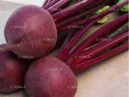 Буряк столовий Кардіал F1 2г - VDALA.PRO