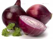 Цибуля Ред Рок F1 (Фасовка: 1 г) - VDALA.PRO - 1