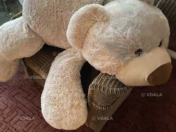 Большой белый медведь Большой белый медведь - VDALA.PRO