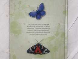 книга про метеликів - VDALA.PRO