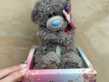 Медведь Медведь - VDALA.PRO