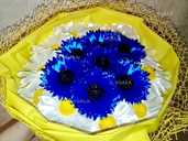 Ромашки з волошками - VDALA.PRO - 1