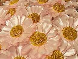 Рожеві ромашки - VDALA.PRO