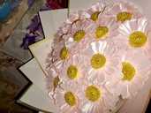 Рожеві ромашки - VDALA.PRO - 2