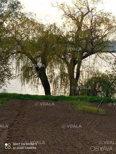 Продам будинок на березі Дніпра власний берег річки 25 соток землі Продам будинок на березі Дніпра власний берег річки 25 соток землі - VDALA.PRO