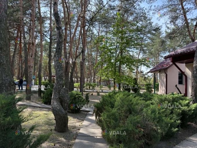 Пропоную в аренду турбазу. Яка знаходиться у місті Кам’янське. Пропоную в аренду турбазу. Яка знаходиться у місті Кам’янське. - VDALA.PRO