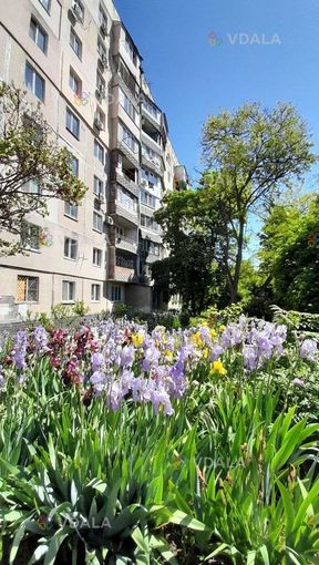 Вид угоди: Продам Квартиру 35 м², 1 кімн., 7 поверх. Вид угоди: Продам Квартиру 35 м², 1 кімн., 7 поверх. - VDALA.PRO