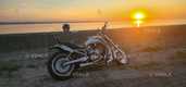 Продам Мотоцикл Harley-Davidson V-Rod, 2002, 15 000 км, 1 130.0 см³, Н - 2 Продам Мотоцикл Harley-Davidson V-Rod, 2002, 15 000 км, 1 130.0 см³, Н - VDALA.PRO - 2