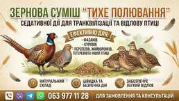 Зернова суміш-транквілізатор для відлову птахів - VDALA.PRO