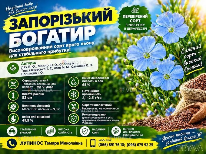 Насіння льону олійного Запорізький богатир 1 репродукція | НААН Насіння льону олійного Запорізький богатир 1 репродукція | НААН - VDALA.PRO