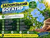 Насіння льону олійного Запорізький богатир 1 репродукція | НААН - 1 Насіння льону олійного Запорізький богатир 1 репродукція | НААН - VDALA.PRO - 1