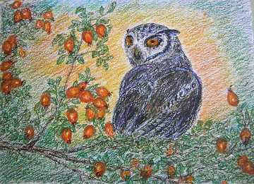 Картина. Графика Совушка. Бумага, пастель, 20*30 см - VDALA.PRO