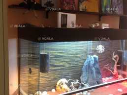 Продам террариум - VDALA.PRO