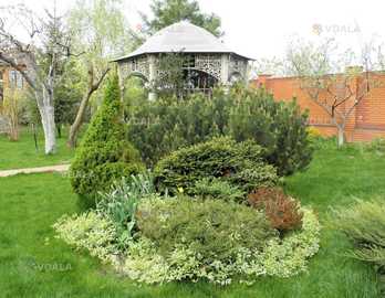 Садовник, озеленитель - дизайнер, консультант - VDALA.PRO