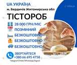 Допомога з пошуку роботи - VDALA.PRO - 2