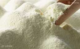 Сухе знежирене молоко (сзм), 1, 5%, дсту - VDALA.PRO