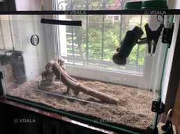 Продам тераріум - VDALA.PRO