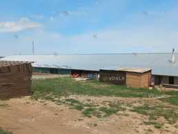 Продаж бізнесу: Ферма/пташник 929 м². Одеська область. Продаж бізнесу: Ферма/пташник 929 м². Одеська область. - VDALA.PRO