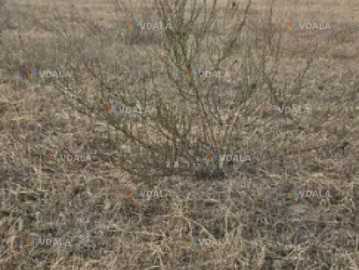 Продам земельна ділянка 0,1 га. Черкаси. - VDALA.PRO