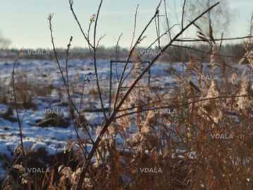 Продам земельну ділянку 0,1014 га. Ворзель, Київська обл. Продам земельну ділянку 0,1014 га. Ворзель, Київська обл. - VDALA.PRO