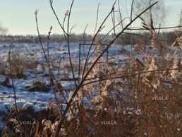 Продам земельну ділянку 0,1014 га. Ворзель, Київська обл. - VDALA.PRO