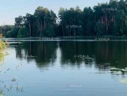 Ділянка з виходом до Дніпра! 0,08 га. Таценки, Київська обл. - VDALA.PRO